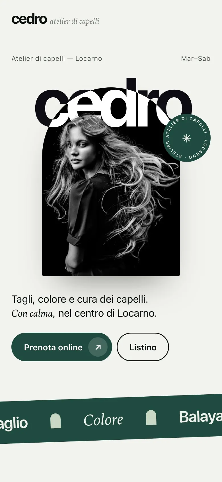 Demo parrucchiere Cedro sul telefono